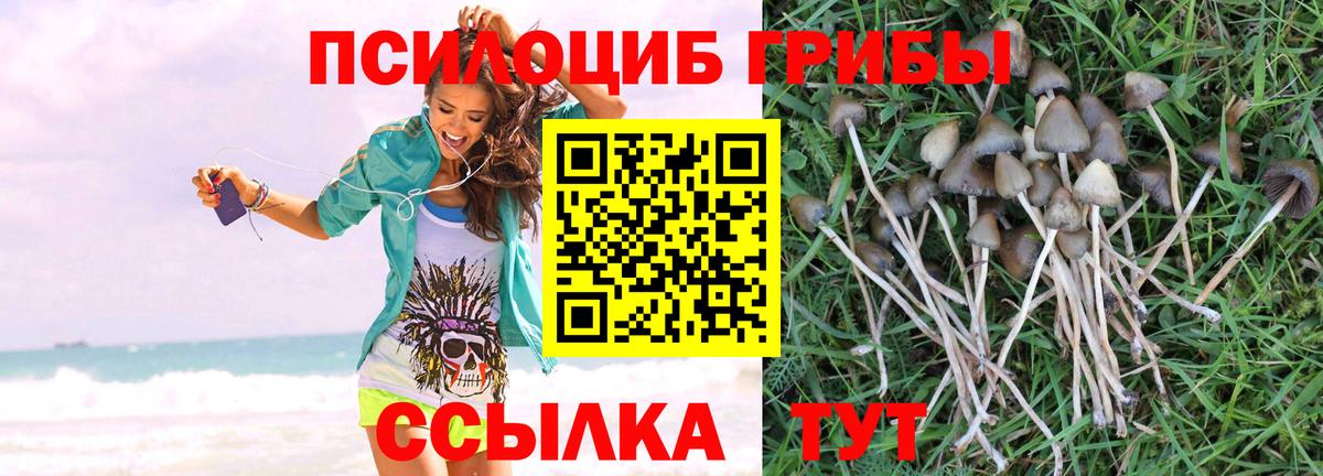 Псилоцибиновые грибы MAGIC MUSHROOMS Екатеринбург
